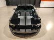 2008 Ford Mustang GT500 Shelby - 11