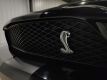2008 Ford Mustang GT500 Shelby - 12