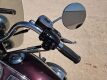 1998 Harley-Davidson 95th Anniversary Edition FLSTS Motorcycle - 14