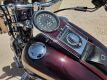 1998 Harley-Davidson 95th Anniversary Edition FLSTS Motorcycle - 16