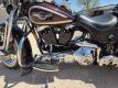 1998 Harley-Davidson 95th Anniversary Edition FLSTS Motorcycle - 17
