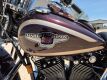 1998 Harley-Davidson 95th Anniversary Edition FLSTS Motorcycle - 18