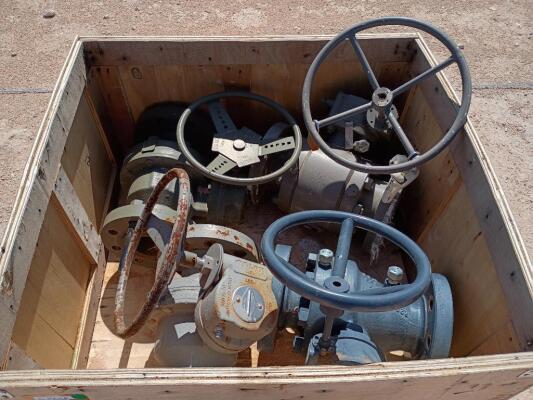 (4) Balon 4'' 600 Valves/ (6) Cameron 4'' 600 Check Valves