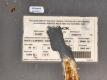 Sky Jack SJ66T Manlift - 31