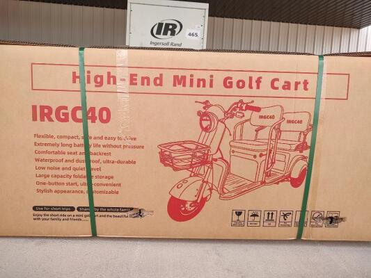 IRGC40 High-End Mini Electric Golf Cart (Color Purple)