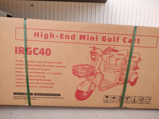 IRGC40 High-End Mini Electric Golf Cart (Color Purple)