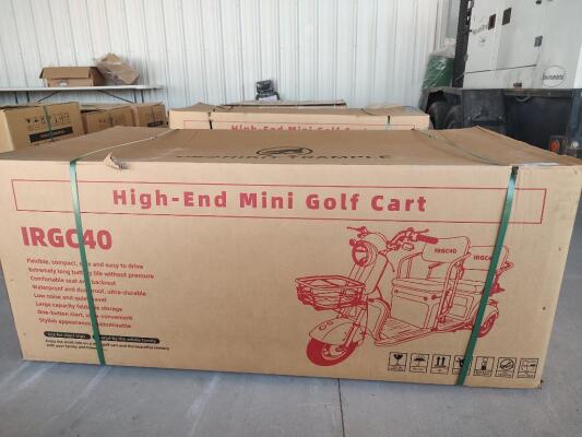 IRGC40 High-End Mini Electric Golf Cart (Color Green)