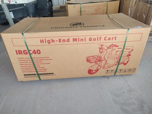 IRGC40 High-End Mini Electric Golf Cart (Color Purple)