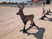KC 3/8" AR500 Steel Deer Shooting Target w/Heart Flapper - 2