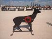 KC 3/8" AR500 Steel Deer Shooting Target w/Heart Flapper - 3