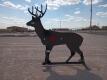 KC 3/8" AR500 Steel Deer Shooting Target w/Heart Flapper