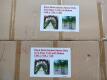 (2) Black Metal Garden Arches 4.6ft x 7.5ft x 1.3ft - 6