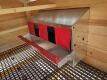 Chicken Coop Tractor 5ft x 12ft - 11