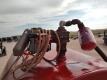 Fuel Transfer Trailer w/12v Transfer Pump - 16