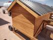 Chicken Coop Tractor 5ft x 12ft - 17