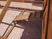 Chicken Coop Tractor 5ft x 12ft - 7