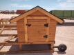 Chicken Coop Tractor 5ft x 12ft - 9