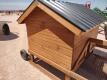 Chicken Coop Tractor 5ft x 12ft - 17