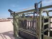 Manual Squeeze Chute w/Palpation Cage - 10