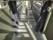 Manual Squeeze Chute w/Palpation Cage - 13