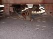 Big Tex 40Ft Flatbed Trailer - 20
