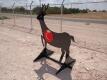 Steel Deer Shooting Target w/Heart Flapper - 5