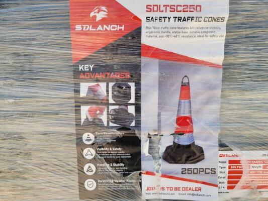 (250) Safety Traffic Cones