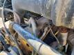 2004 Sterling L7500 Flatbed Truck - 25
