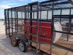16Ft Trash Trailer w/Porta Potty - 20