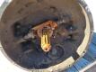 Eaton Fuller 10 Speed Manual Transmission - 16
