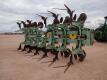 12 Row Crop Cultivator - 4