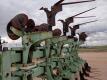 12 Row Crop Cultivator - 14