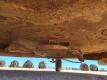 Brush Hog Rotary Mower S/N 010808 - 28