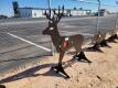 KC 3/8" AR500 Steel Deer Shooting Target w/Heart Flapper - 3