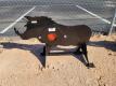 KC 3/8" AR500 Steel Wild Boar Shooting Target w/Heart Flapper