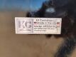 KC 3/8" AR500 Steel Wild Boar Shooting Target w/Heart Flapper - 8