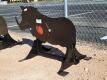 KC 3/8" AR500 Steel Wild Boar Shooting Target w/Heart Flapper - 2