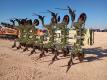 2014 Orthman 8315 12 Row Min-Till Cultivator - 4