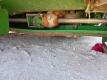 John Deere 608C 8 Row Corn Header - 19