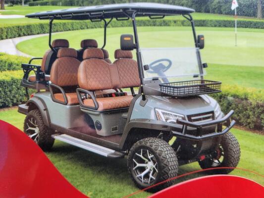 HQ100 Electric Golf Cart (Color Black)