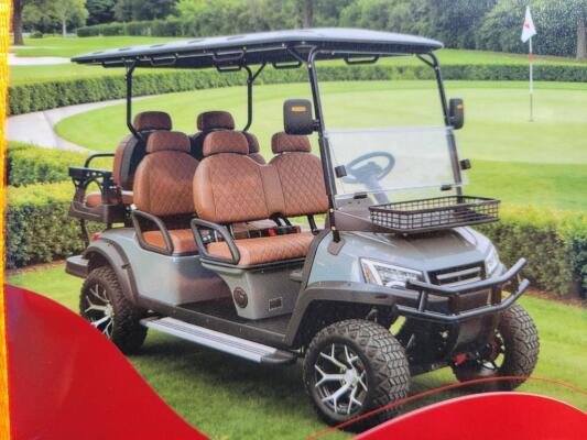 HQ100 Electric Golf Cart (Color Black)