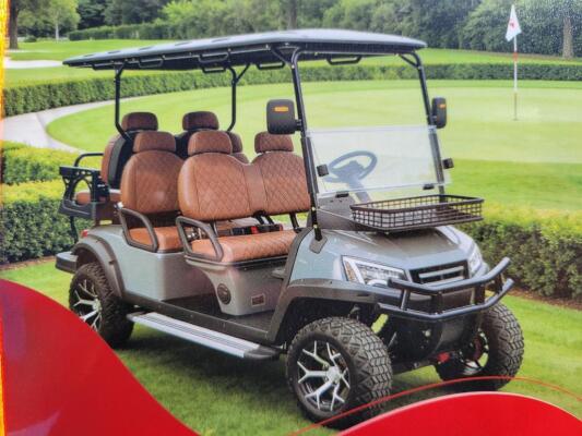 HQ100 Electric Golf Cart (Color Black)