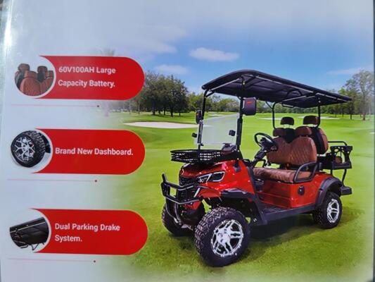 Electric Golf Cart (Color White)