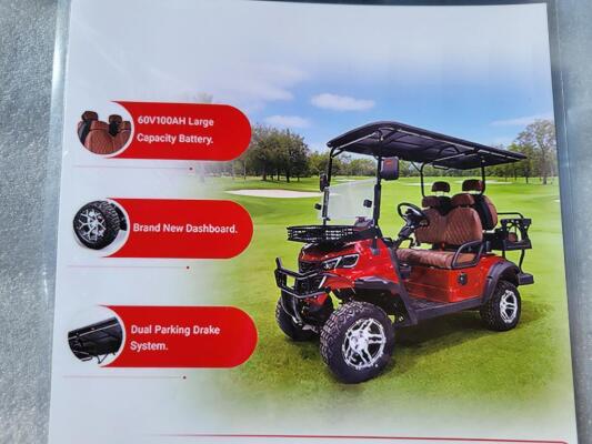 Electric Golf Cart (Color Black)