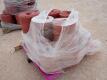 (2) Pallets of Triplexing Twine - 4