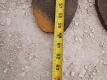 5ft Telehandler Forks - 5