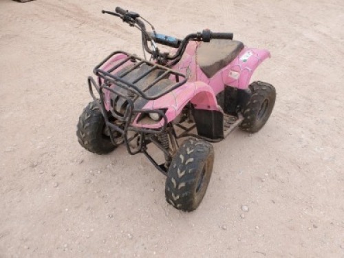 Mini 110 4 Wheeler