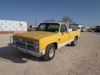 1981 Chevrolet Silverado C10 Pickup Truck