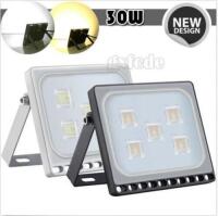 (10) 30W LED Flood Lights