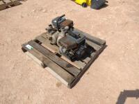 (2) Red Lion Water Pumps